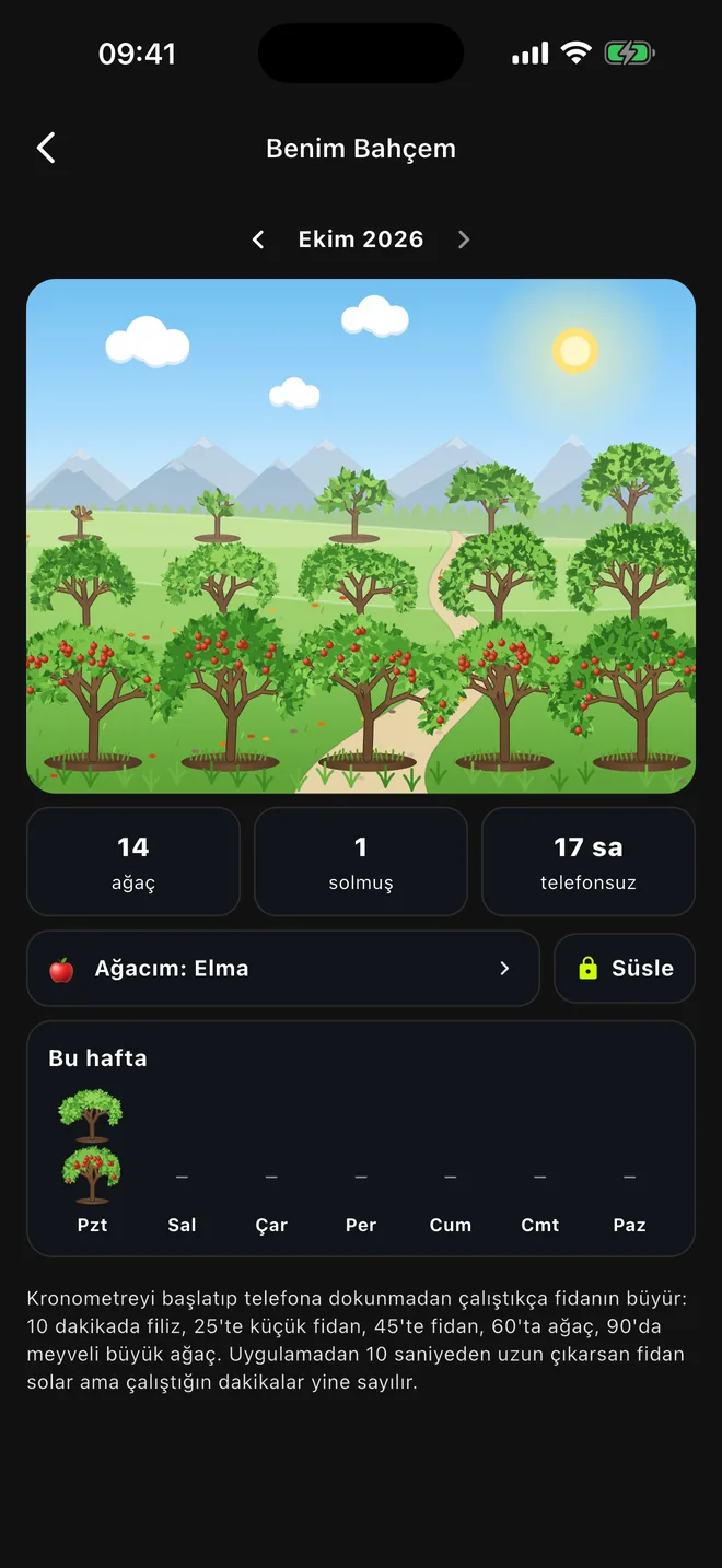 Benim Bahçem: odak oturumlarından büyüyen ağaçlar
